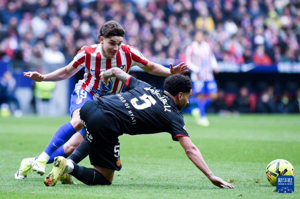 博彩行为的社会风险（博彩活动的社会风险与影响）